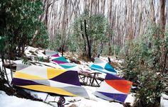 there are many colorful umbrellas laying on the ground in the snow near trees and bushes