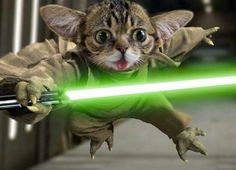 a cat dressed up as a star wars character with a green light saber in its mouth