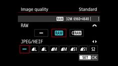 an image quality screen with the words raw and raw in red, white and black