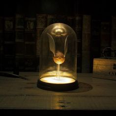 a glass dome with a bird in it sitting on top of a wooden table under a light