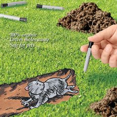 a hand is holding a pen and digging dirt in the grass with an image of a mouse on it