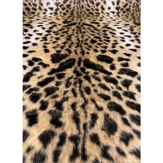 an animal print pattern is shown in black and white colors, with spots on the fur