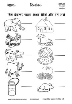 an english worksheet with pictures of animals