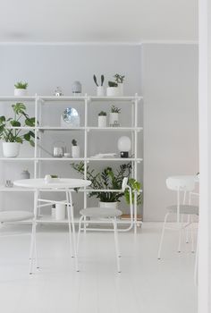 a room filled with white furniture and lots of green plants on top of shelving units