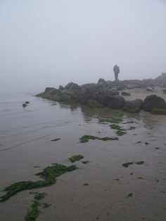 a person standing on rocks in the water with an umbrella over their head and green algae covering the ground