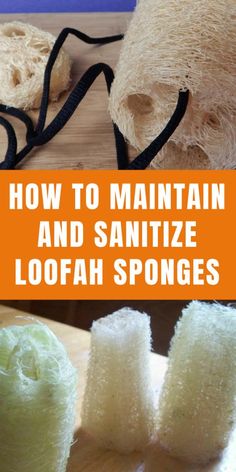 how to maintain and sanitize loofah sponges