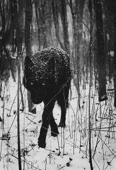 a black and white photo of a person walking through the woods in snow covered trees