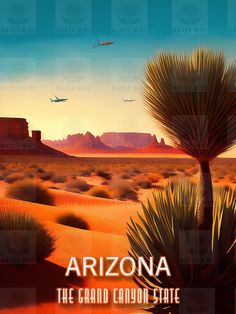 an arizona desert scene with a plane flying in the sky