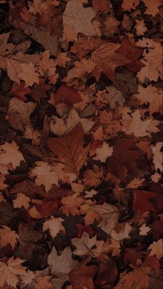 many different colored leaves are scattered on the ground in this photo, including brown and red