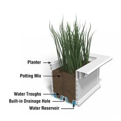 an image of a planter with plants in it and labeled parts to the plant