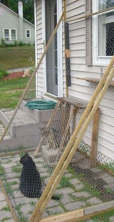 a black dog standing in front of a chicken coop on the side of a house