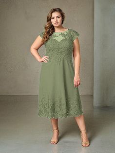 Olive_Green White Wisteria, Tea Length Dress, Sophisticated Dress, Dress Dusty, Tea Length Dresses, Mother Of The Bride Dress, Applique Dress, Tea Length, Lace Applique