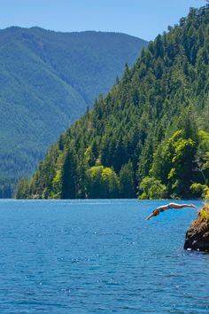 a large body of water surrounded by forest