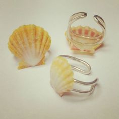 three seashells sitting next to each other on a white surface with one shell in the foreground