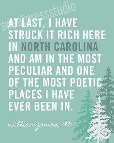 a quote from william james on the theme of north carolina, with pine trees in the background