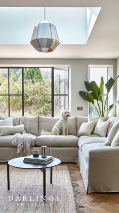 a dog is sitting on the couch in this modern living room with skylights and large windows