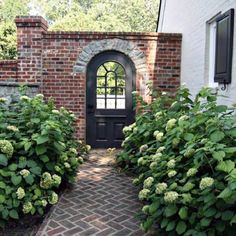 an image of a door and some bushes