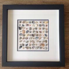 a shadow box frame with seashells in it on a wooden table top next to a wall