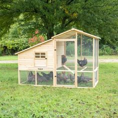 a chicken coop with chickens in it on the grass next to a tree and bushes