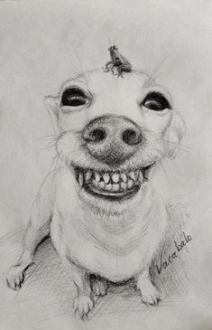 a drawing of a smiling dog with a bird on its head