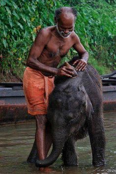 a man is washing an elephant in the water with his trunk on it's back