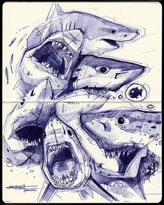 two drawings of shark heads with their mouths open