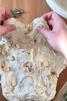 two hands are decorating a piece of art with white frosting and pine needles