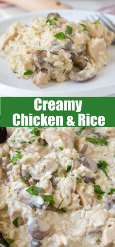 creamy chicken and rice with mushrooms in a white bowl