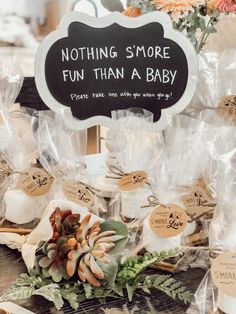 a sign that says nothing s'more fun than a baby next to other items