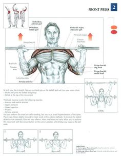 a man is doing exercises with the barbells in his chest and back muscles