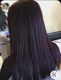 Violet Hair Colors, Dark Purple Hair, Brown Hair Shades, Plum Hair, Black Hair Dye, Violet Hair, Hair Color Burgundy, Black Hair Color