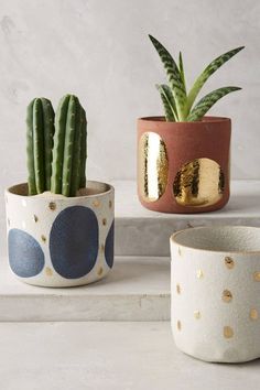 three potted plants sitting next to each other on top of a white countertop