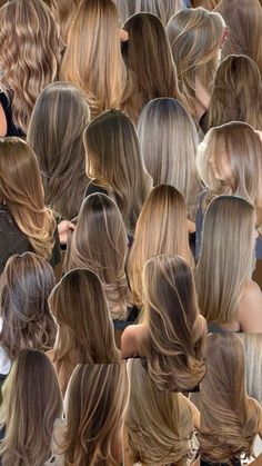 Honey Brown Highlights, Best Fall Hair Colors, Hair Colors To Try, Honey Highlights, Brown Hair Looks, Hair Tint