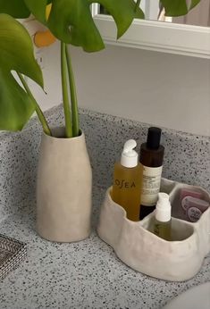 a plant in a white vase sitting on top of a counter next to bottles and soaps