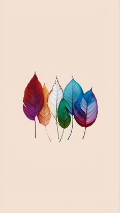 four different colored leaves are arranged in a row on a beige background, with the bottom one being off to the side