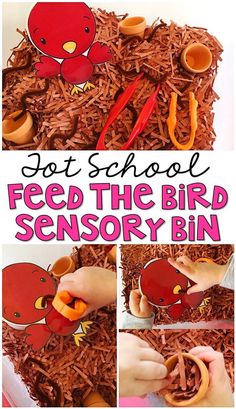 Bird Activities For Toddlers, Bird Theme Preschool, Preschool Activities Sensory, Bird Activities, November Themes, Bird Crafts Preschool, Pets Preschool Theme, Spring Preschool