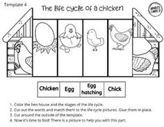 an egg hatching worksheet for children to learn how to hatch the eggs