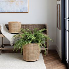 a living room with wicker furniture and plants