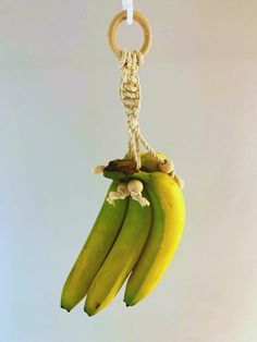 bunches of bananas hanging from a rope