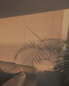 a living room scene with the sun shining through the window and palm tree in the corner