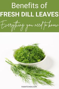 A Pinterest pin featuring a guide to fresh dill leaves. Learn about nutrition, benefits, usage, buying tips, and storage. Enhance your culinary experience with the versatile and flavorful dill leaves. 🌿🍽️ #FreshDill #HerbGuide #HealthyCooking Benefits Of Dill Herb, Planting Dill, Anethum Graveolens, Dill Plant, Leaf Health, Dill Recipes, Health World, Garden Salad, Aromatic Herbs