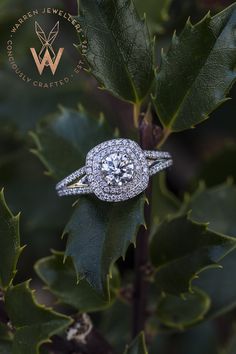 a diamond ring sitting on top of a green leafy plant with leaves around it