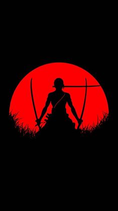 the silhouette of a person holding two swords in front of a red sun with grass