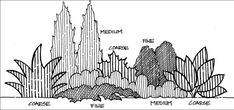 a drawing of the different types of plants