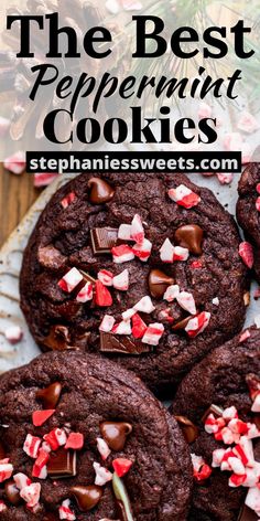 chocolate peppermint cookies on a plate with text overlay that reads the best peppermint cookies