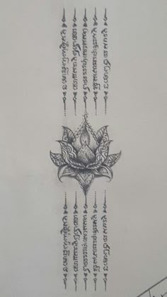 a drawing of a flower with many lines coming out of it's back side