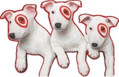 three white dogs with red circles on their eyes