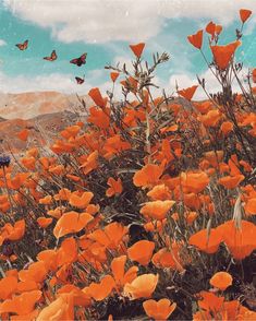 a field full of orange flowers with butterflies flying over them in the sky above it