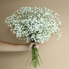 a bouquet of baby's breath is held by a woman with her arm wrapped around it