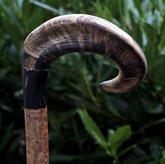 an animal's horn sticking out of the side of a wooden pole in front of some plants